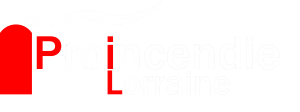 logo Pro Incendie Lorraine 3